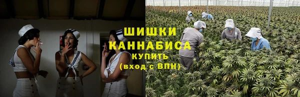 круглые Вязьма
