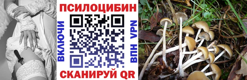Галлюциногенные грибы прущие грибы  Купить закладки  Туринск 