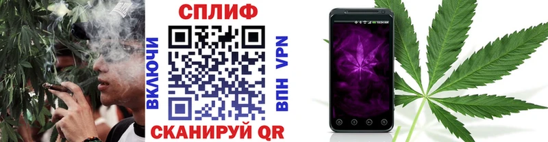 Бошки марихуана MAZAR  Купить закладки  Туринск 
